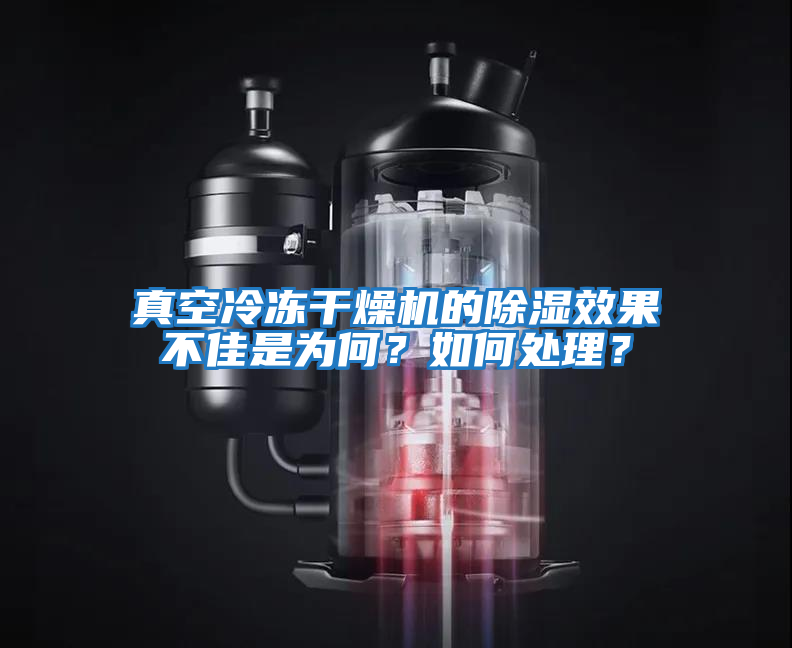 真空冷凍干燥機的除濕效果不佳是為何?如何處理?