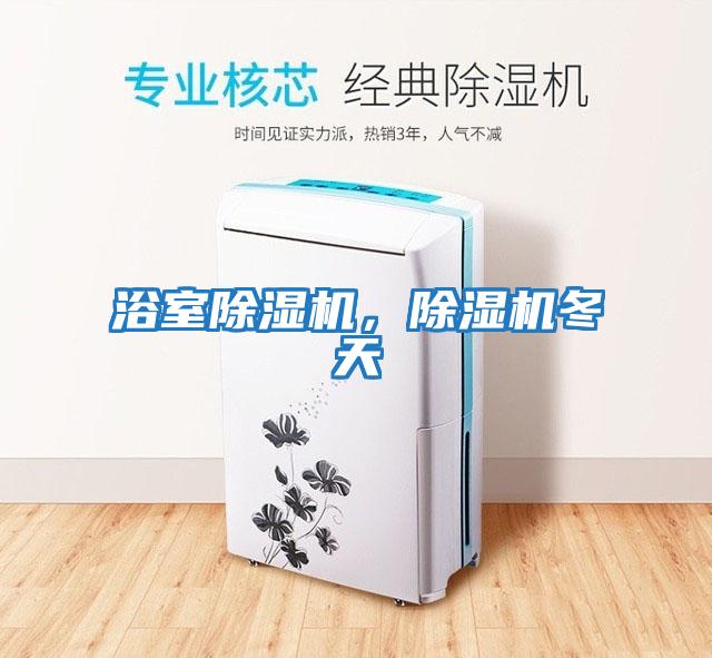 浴室除濕機，除濕機冬天