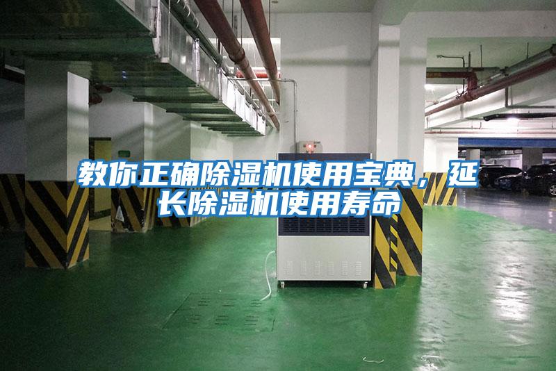 教你正確除濕機使用寶典,延長除濕機使用壽命