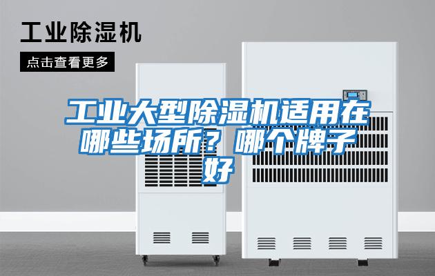 工業大型除濕機適用在哪些場所？哪個牌子好