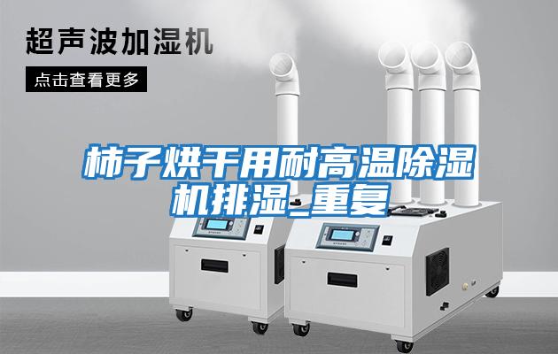 柿子烘干用耐高溫除濕機排濕_重復