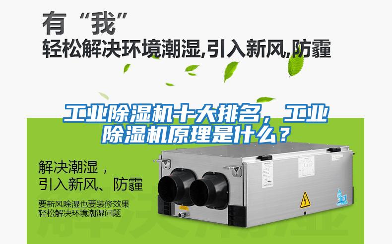 工業除濕機十大排名，工業除濕機原理是什么？
