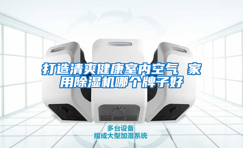 打造清爽健康室內空氣 家用除濕機哪個牌子好
