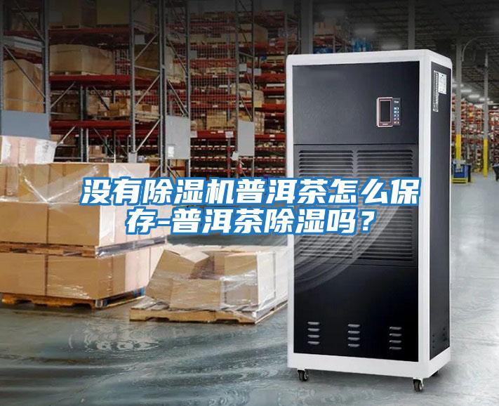 沒有除濕機普洱茶怎么保存-普洱茶除濕嗎？