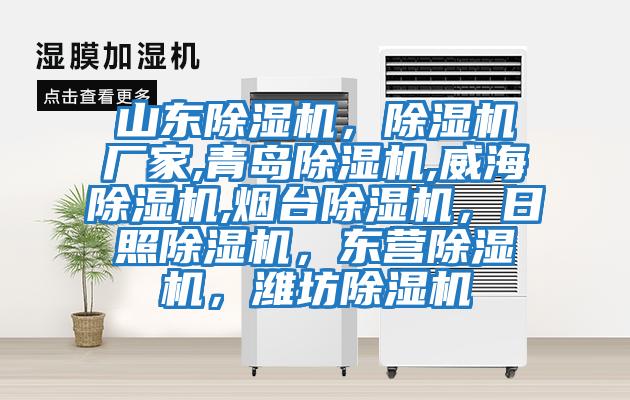山東除濕機(jī)，除濕機(jī)廠家,青島除濕機(jī),威海除濕機(jī),煙臺(tái)除濕機(jī)，日照除濕機(jī)，東營(yíng)除濕機(jī)，濰坊除濕機(jī)