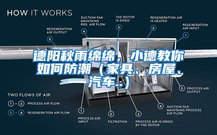德陽秋雨綿綿，小德教你如何防潮（家具、房屋、汽車..）