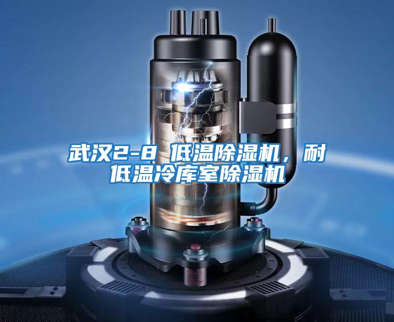 武漢2-8℃低溫除濕機，耐低溫冷庫室除濕機