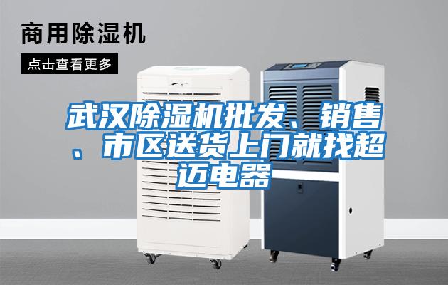 武漢除濕機(jī)批發(fā)、銷售、市區(qū)送貨上門(mén)就找超邁電器