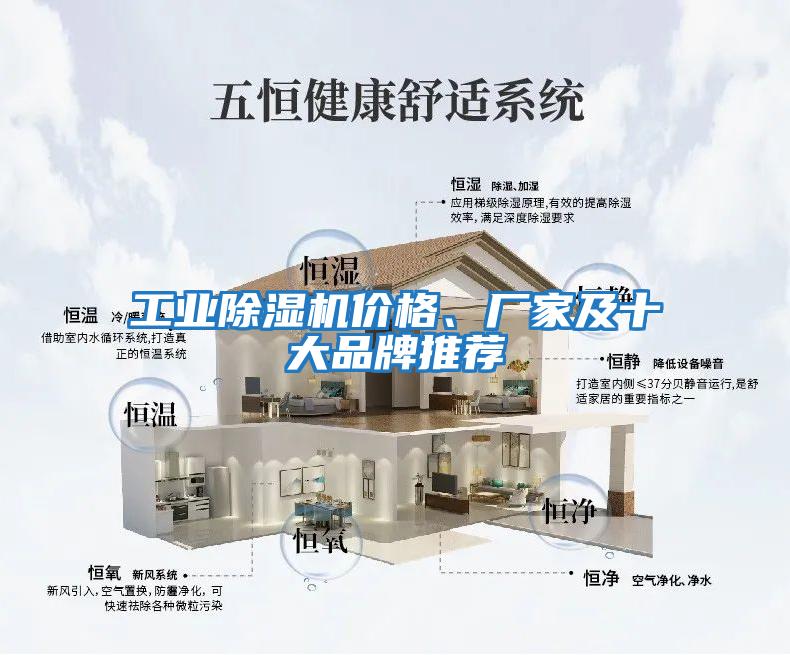 工業除濕機價格、廠家及十大品牌推薦