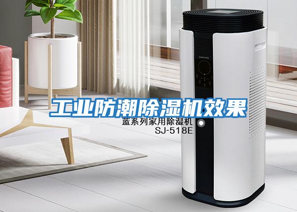工業防潮除濕機效果