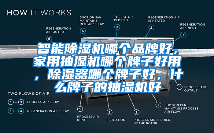 智能除濕機哪個品牌好，家用抽濕機哪個牌子好用，除濕器哪個牌子好，什么牌子的抽濕機好