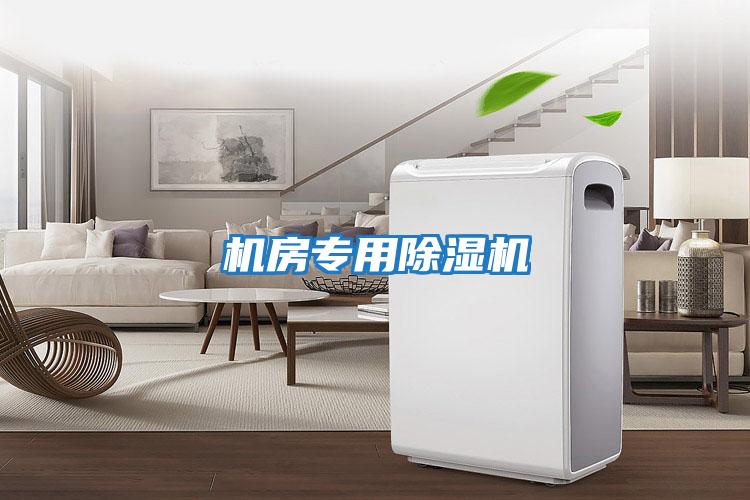 機(jī)房專(zhuān)用除濕機(jī)