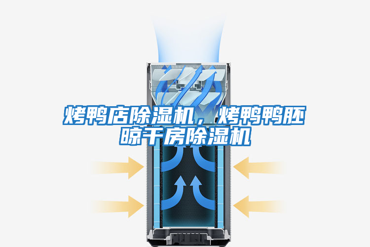 烤鴨店除濕機，烤鴨鴨胚晾干房除濕機