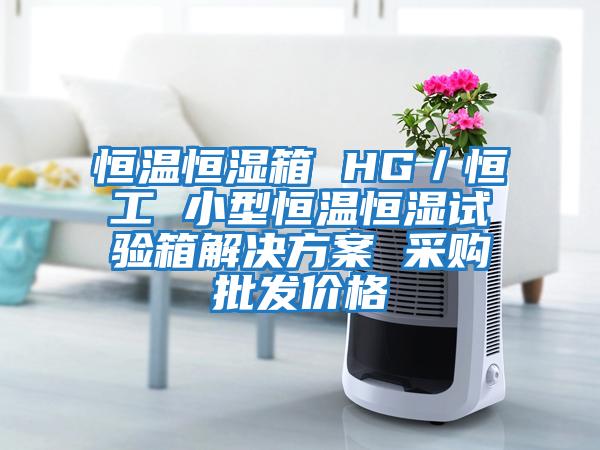 恒溫恒濕箱 HG/恒工 小型恒溫恒濕試驗箱解決方案 采購批發價格