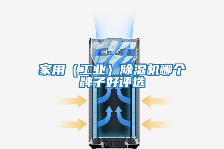 家用（工業）除濕機哪個牌子好評選