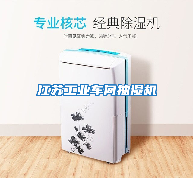 江蘇工業車間抽濕機