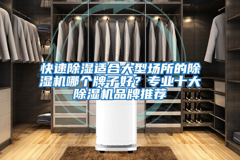 快速除濕適合大型場所的除濕機哪個牌子好？專業十大除濕機品牌推薦