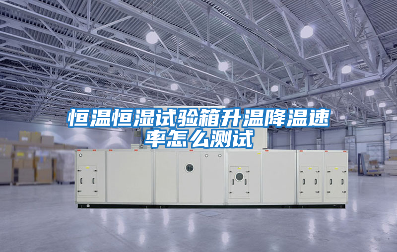 恒溫恒濕試驗(yàn)箱升溫降溫速率怎么測試