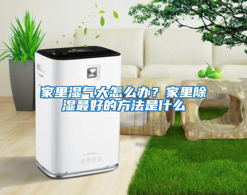 家里濕氣大怎么辦？家里除濕最好的方法是什么
