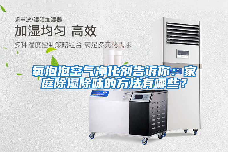 氧泡泡空氣凈化劑告訴你：家庭除濕除味的方法有哪些？