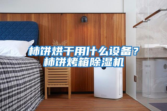 柿餅烘干用什么設備？柿餅烤箱除濕機