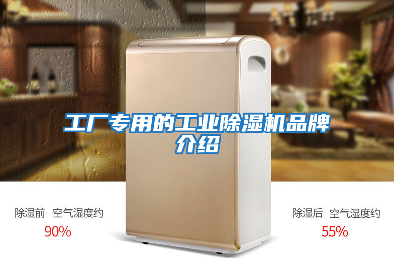 工廠專用的工業除濕機品牌介紹