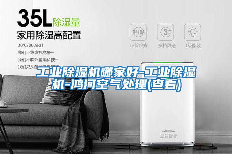 工業除濕機哪家好-工業除濕機-鴻河空氣處理(查看)