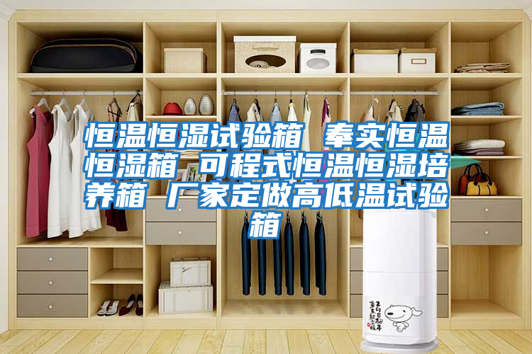 恒溫恒濕試驗箱 奉實恒溫恒濕箱 可程式恒溫恒濕培養箱 廠家定做高低溫試驗箱
