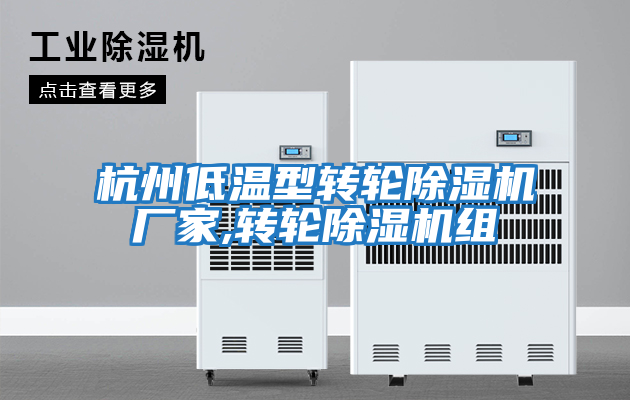 杭州低溫型轉輪除濕機廠家,轉輪除濕機組