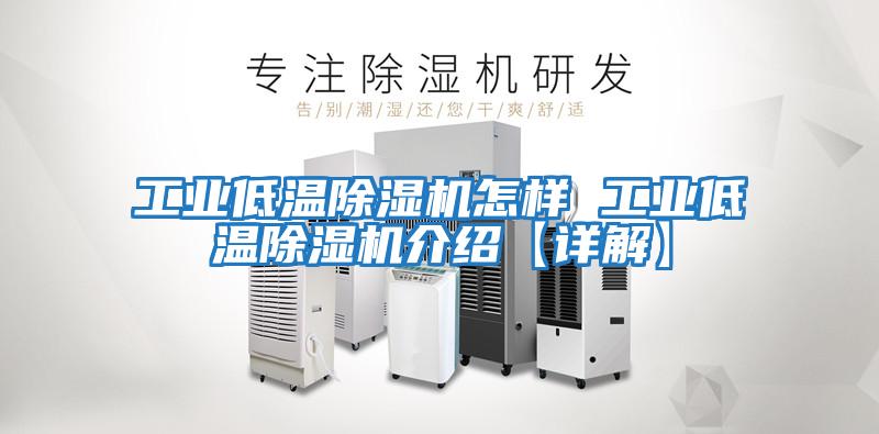 工業低溫除濕機怎樣 工業低溫除濕機介紹【詳解】