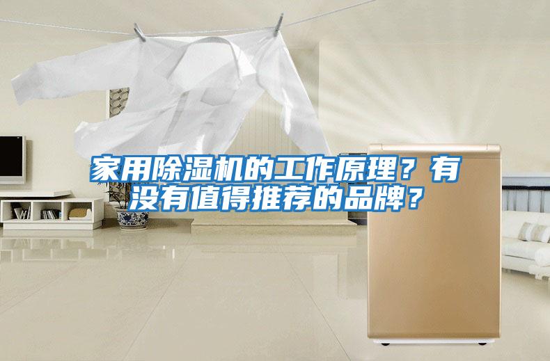 家用除濕機的工作原理？有沒有值得推薦的品牌？