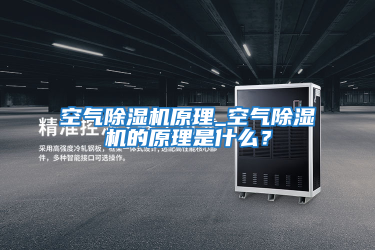 空氣除濕機原理_空氣除濕機的原理是什么？