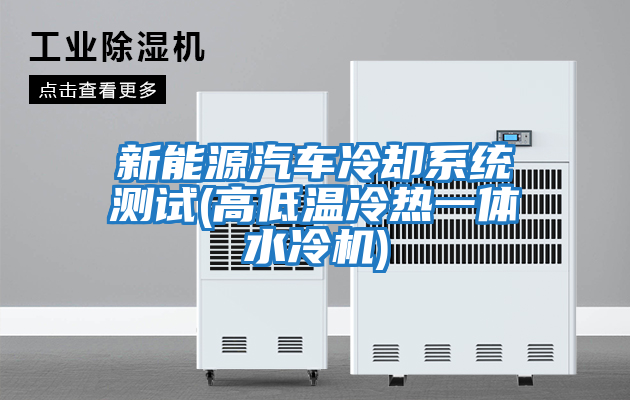 新能源汽車冷卻系統測試(高低溫冷熱一體水冷機)