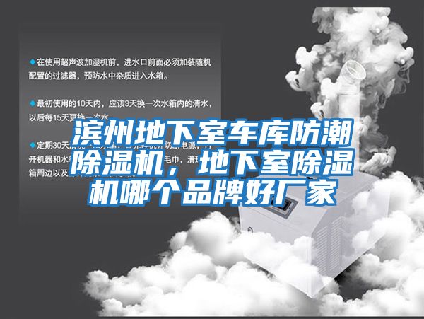 濱州地下室車庫防潮除濕機，地下室除濕機哪個品牌好廠家