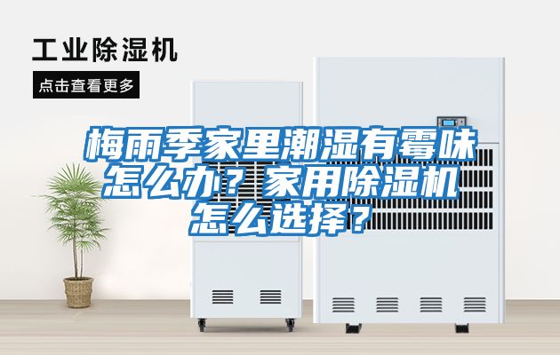 梅雨季家里潮濕有霉味怎么辦？家用除濕機怎么選擇？
