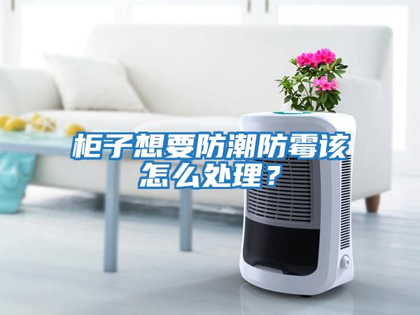 柜子想要防潮防霉該怎么處理?