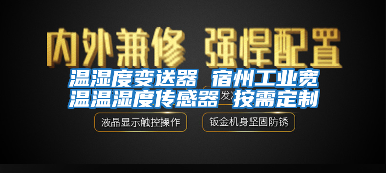 溫濕度變送器 宿州工業寬溫溫濕度傳感器 按需定制