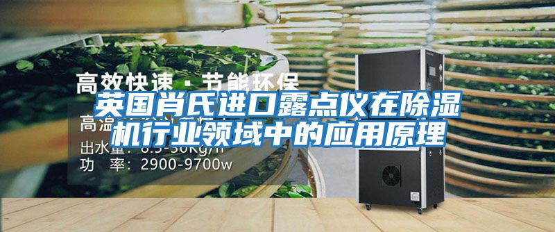 英國肖氏進口露點儀在除濕機行業領域中的應用原理