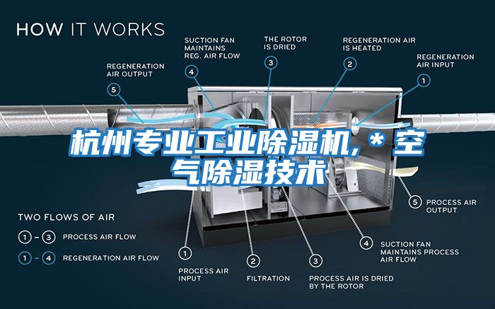 杭州專業(yè)工業(yè)除濕機,*空氣除濕技術(shù)
