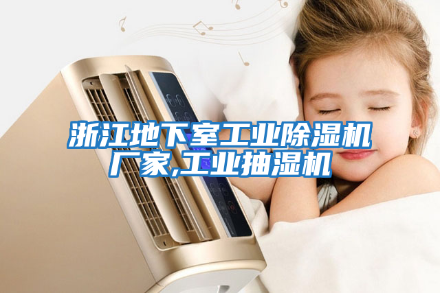 浙江地下室工業除濕機廠家,工業抽濕機