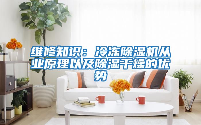 維修知識：冷凍除濕機從業原理以及除濕干燥的優勢