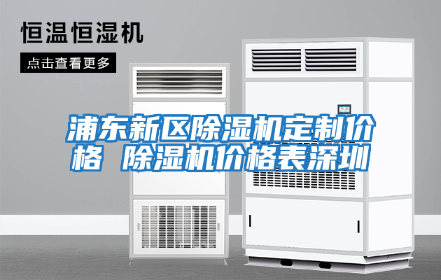 浦東新區除濕機定制價格 除濕機價格表深圳