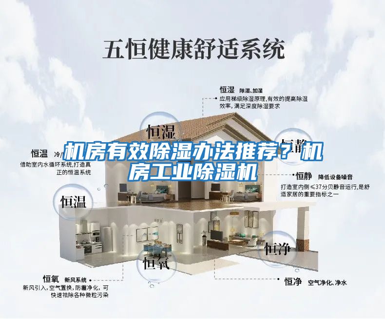 機房有效除濕辦法推薦？機房工業除濕機