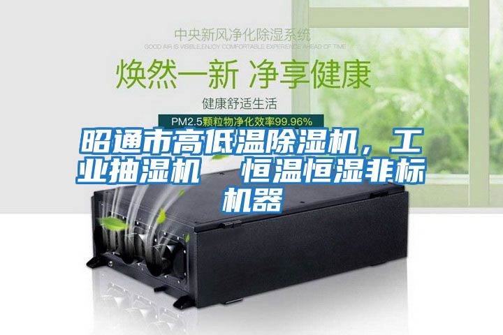 昭通市高低溫除濕機，工業抽濕機  恒溫恒濕非標機器