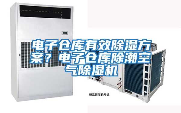 電子倉庫有效除濕方案？電子倉庫除潮空氣除濕機