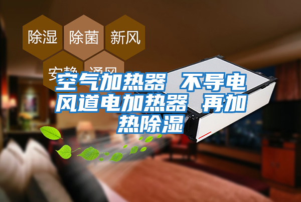 空氣加熱器 不導電風道電加熱器 再加熱除濕