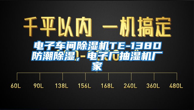 電子車間除濕機TE-138D防潮除濕，電子廠抽濕機廠家