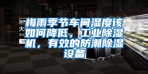 梅雨季節車間濕度該如何降低，工業除濕機，有效的防潮除濕設備