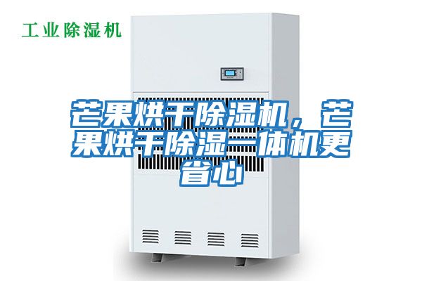 芒果烘干除濕機，芒果烘干除濕一體機更省心