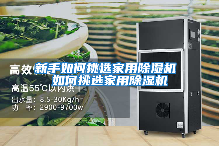 新手如何挑選家用除濕機 如何挑選家用除濕機